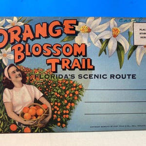 Orange Blossom Road Andenken Florida