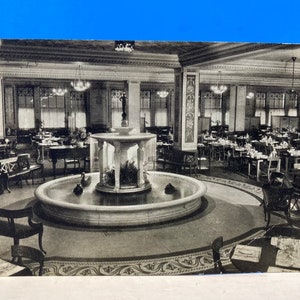 Narcissus Fountain Room Postcard