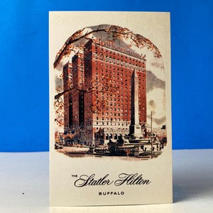 Büffel Postkarte