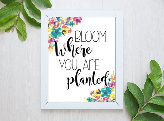 Bloom Where You Are Planted Print Quote Prints Printable | Etsy