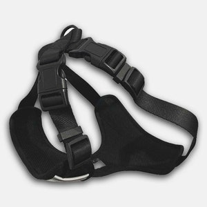 May include: Black padded dog harness with adjustable straps and a metal D-ring.