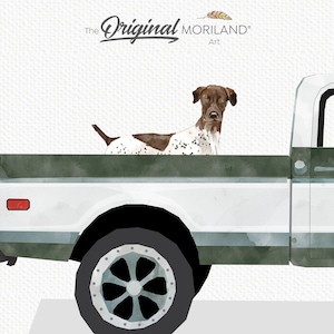 May include: A brown and white spotted dog peeks out of the back of a white pickup truck with a green bed. The truck has a black tire with a silver rim.