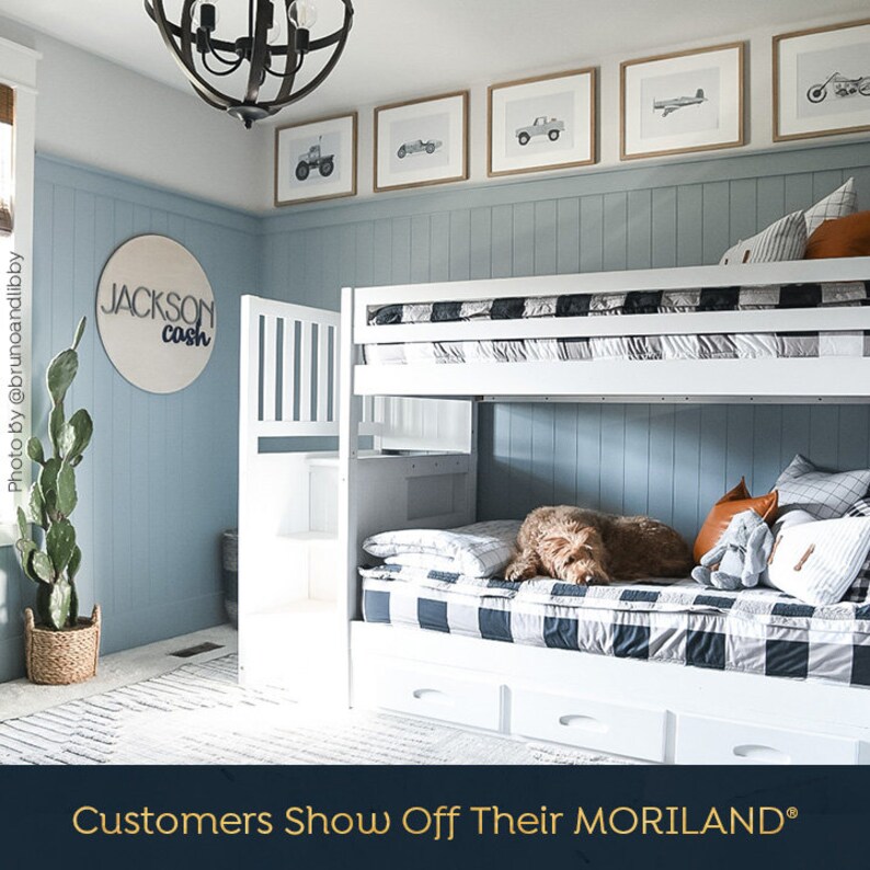 May include: White bunk bed with a black and white checkered comforter and a dog sleeping on the bottom bunk. The room has light blue walls with a wooden sign that says "Jackson Cash" and framed pictures of cars and airplanes.