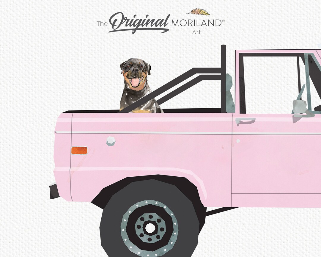 Rottweiler in Pink Truck Print, Classic Car Wall Art (digital Download ...