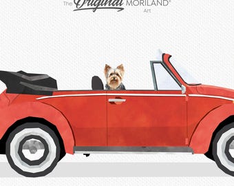 Puede incluir: Un Volkswagen Beetle rojo descapotable con capo negro y un Yorkshire Terrier mirando por la ventana. El coche está sobre un fondo blanco.