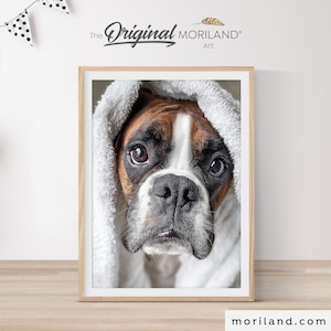 Boxer Dog Bathroom Art - Funny Printable Dog Portrait in Bathtub - Boxer Wall Decor for Pet Lovers - Digital Download Gift