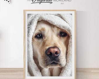 May include: A framed print featuring a close-up of a Labrador Retriever dog wrapped in a white towel. The dog has a light brown coat, dark eyes, and a pink nose. The print includes the text "The Original MORILAND Art".