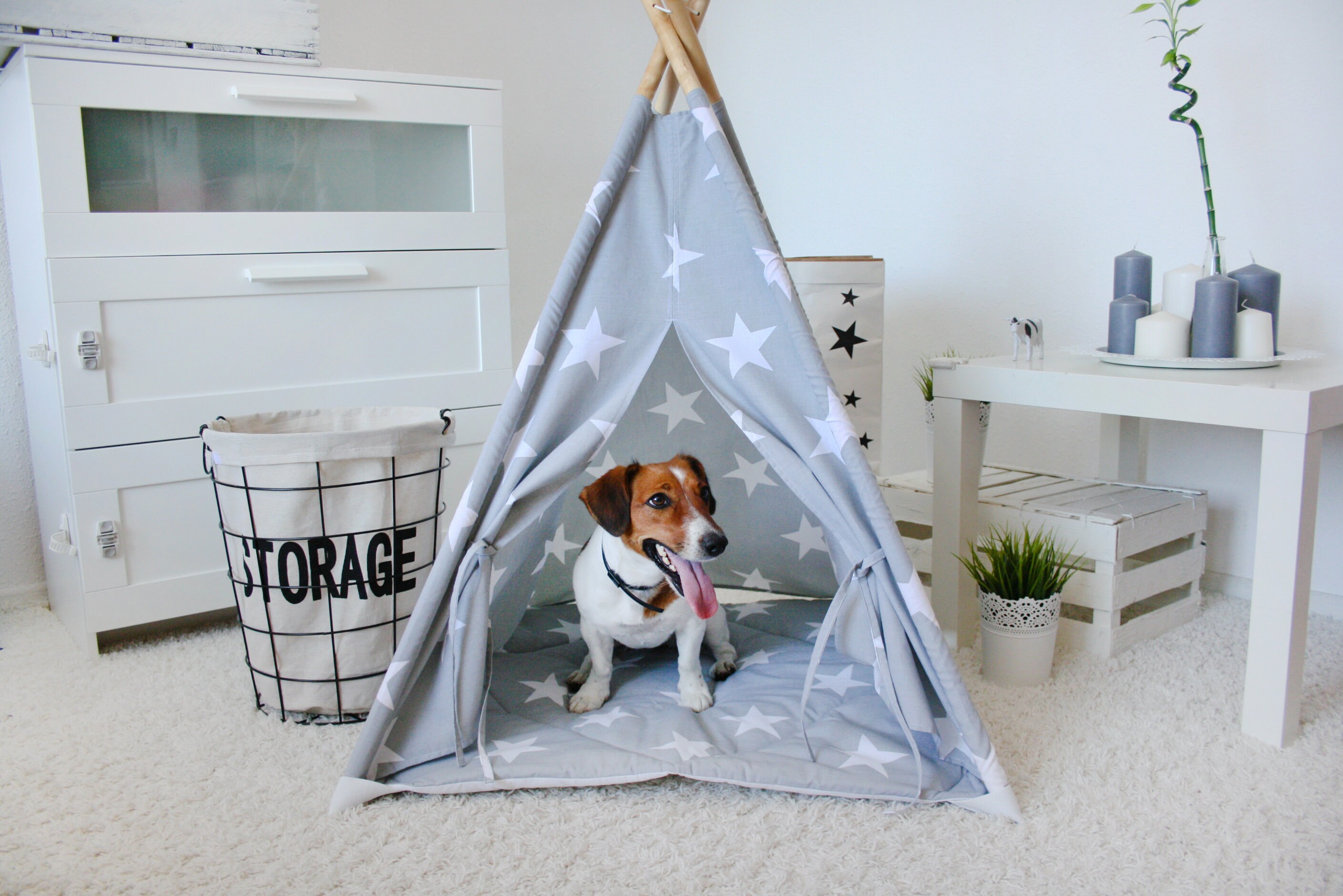 tipi dog house