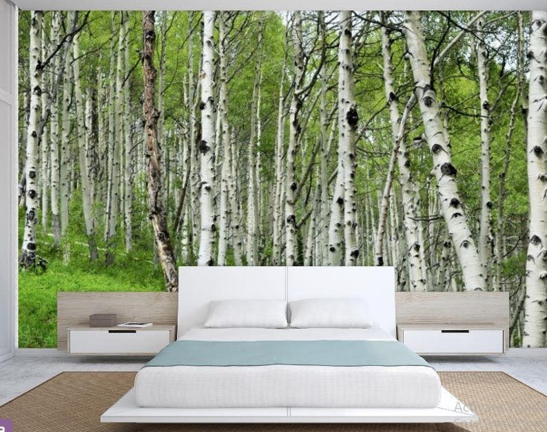 Forest Wall Mural Birch Tree Wallpaper Decal Self Adhesiv