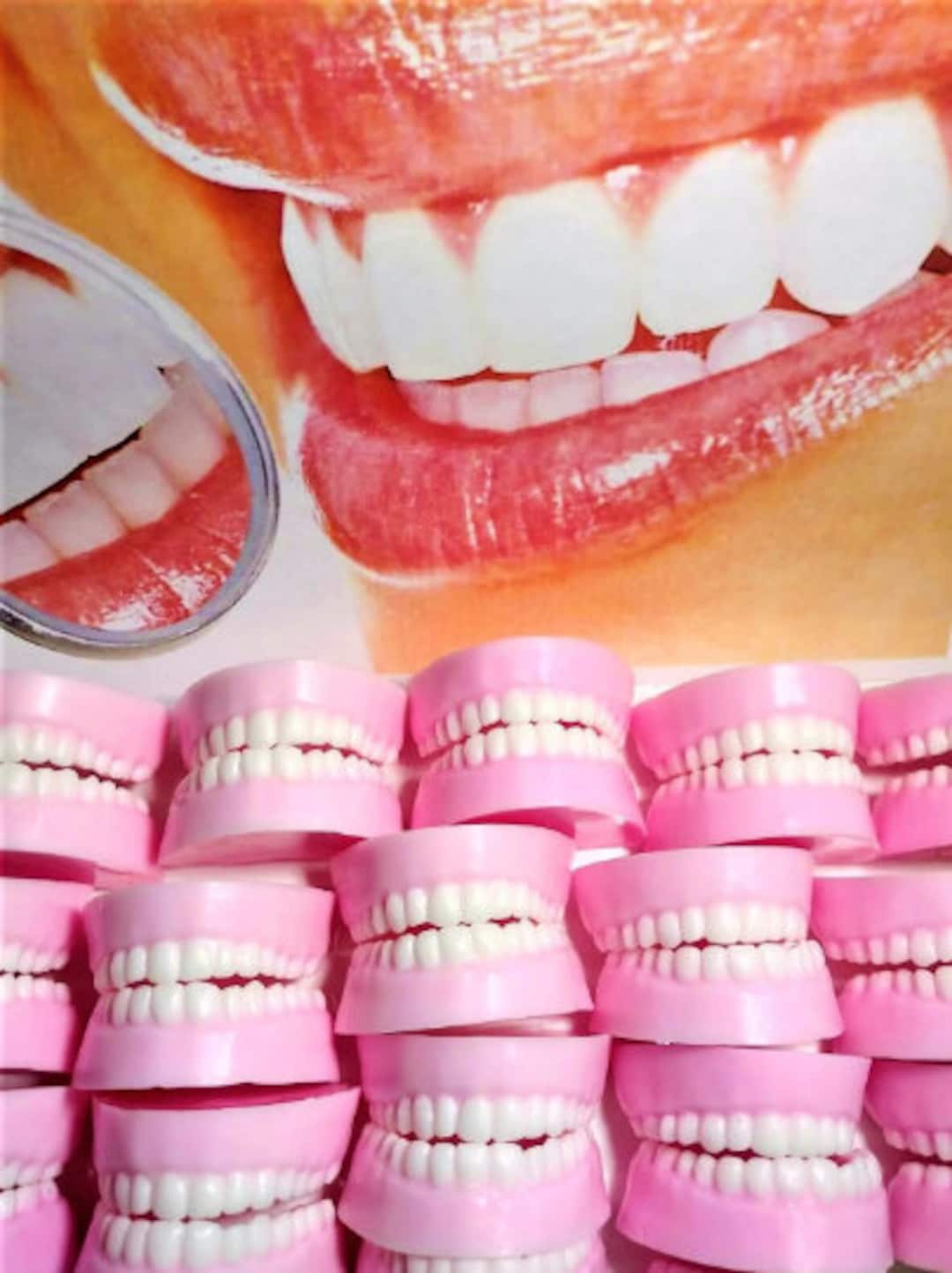 Jaw Teeth Soapdenture Soap Dentist Giftdental Soapdenture Soapsgag