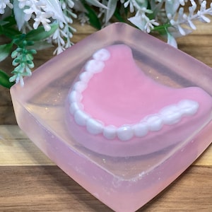 Denture Soap: Dentist Gag Gift, Dental Hygienist Gift