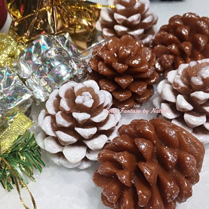 Ensemble de savons pomme de pin : décoration de Noël, Noël