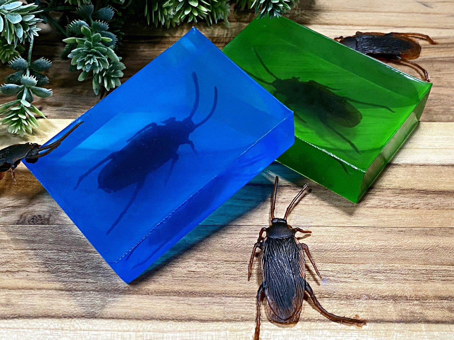 Cockroach Soaphalloween Soaproach Soapjoke Soapbug Etsy