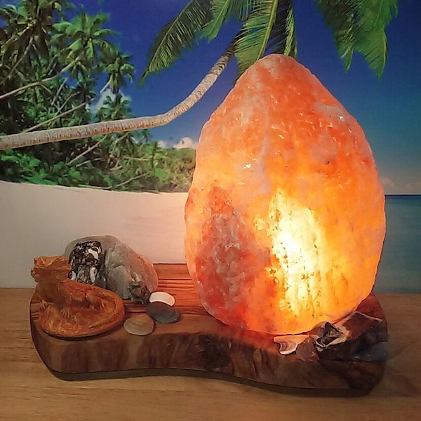 Bearded Dragon Himalayan Salt Lamp #316 Save 10.00 Now! Use Code-STANDWITHSMALL10