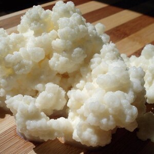 May include: A close-up of a white, cauliflower-like substance, known as a kefir grain, on a wooden surface. The grain is used to ferment milk to make kefir, a fermented milk drink.
