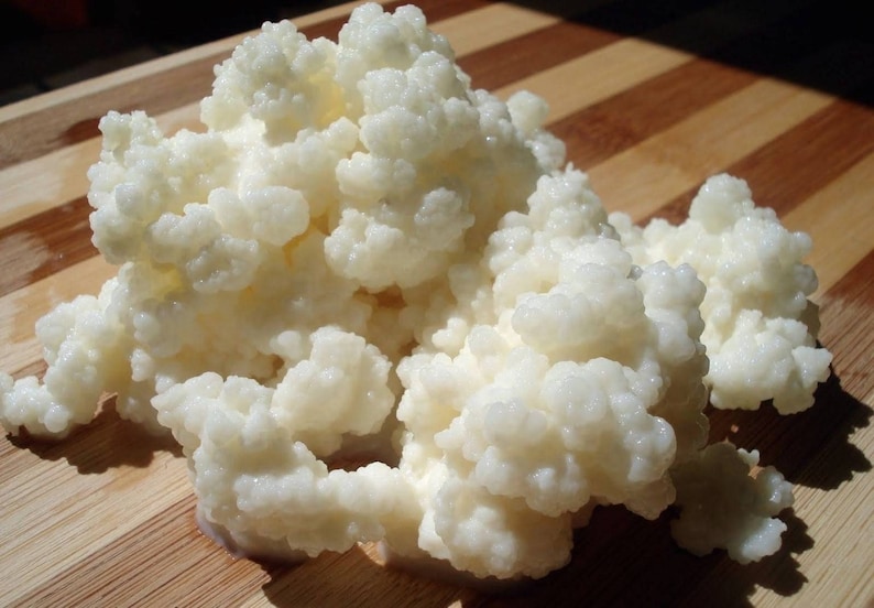 May include: A close-up of a white, cauliflower-like substance, known as a kefir grain, on a wooden surface. The grain is used to ferment milk to make kefir, a fermented milk drink.