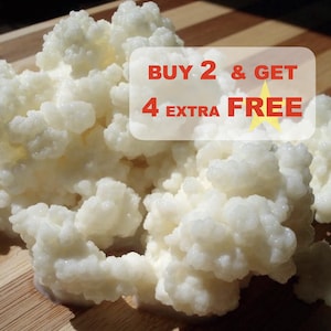 Organic Kefir Grains Live Probiotic - Digestive Health Yogurt -  1/2 Teaspoon - E-Instructions included - Tracking # Buy 2 Get 4 Free extras