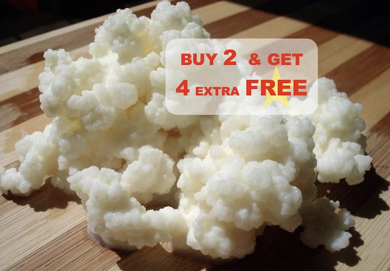 May include: A close-up of a large amount of white, creamy kefir grains. The image includes the text "BUY 2 & GET 4 EXTRA FREE".