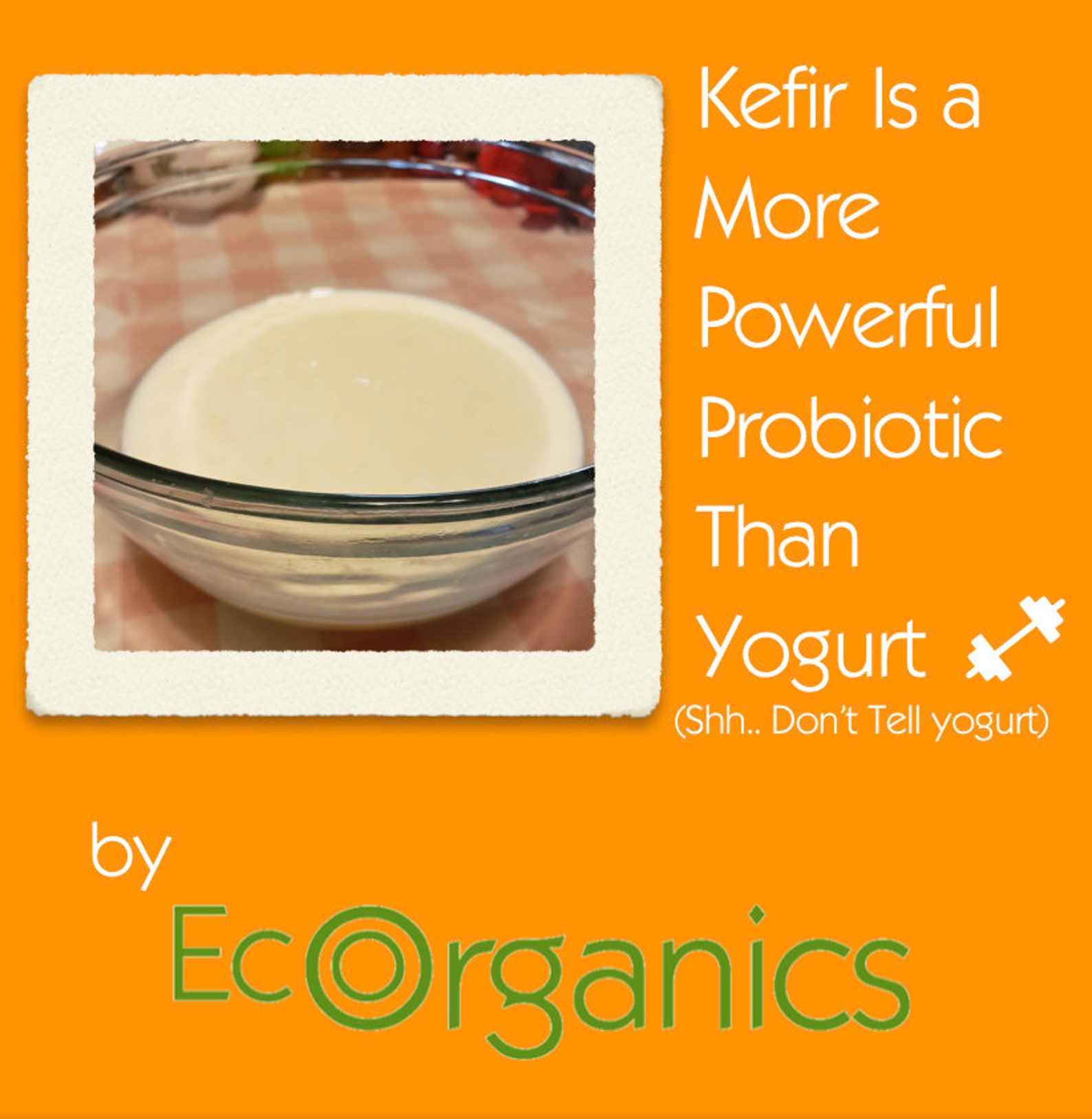 Organic Kefir Grains Digestive Health Yogurt 1/2 Tsp Etsy