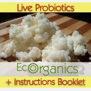 May include: Live probiotics in a white, fluffy, granular form, labeled "EcoOrganics" with a green circle logo and "Instructions Booklet" in red text on a yellow background.
