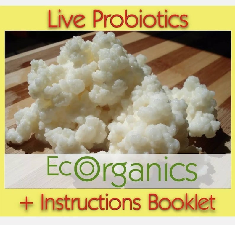 May include: Live probiotics in a white, fluffy, granular form, labeled "EcoOrganics" with a green circle logo and "Instructions Booklet" in red text on a yellow background.