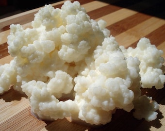 2 cucharaditas - Granos de kéfir orgánicos de ECO-Organics - Instrucciones electrónicas incluidas. - Bulgaros Organicos de Leche