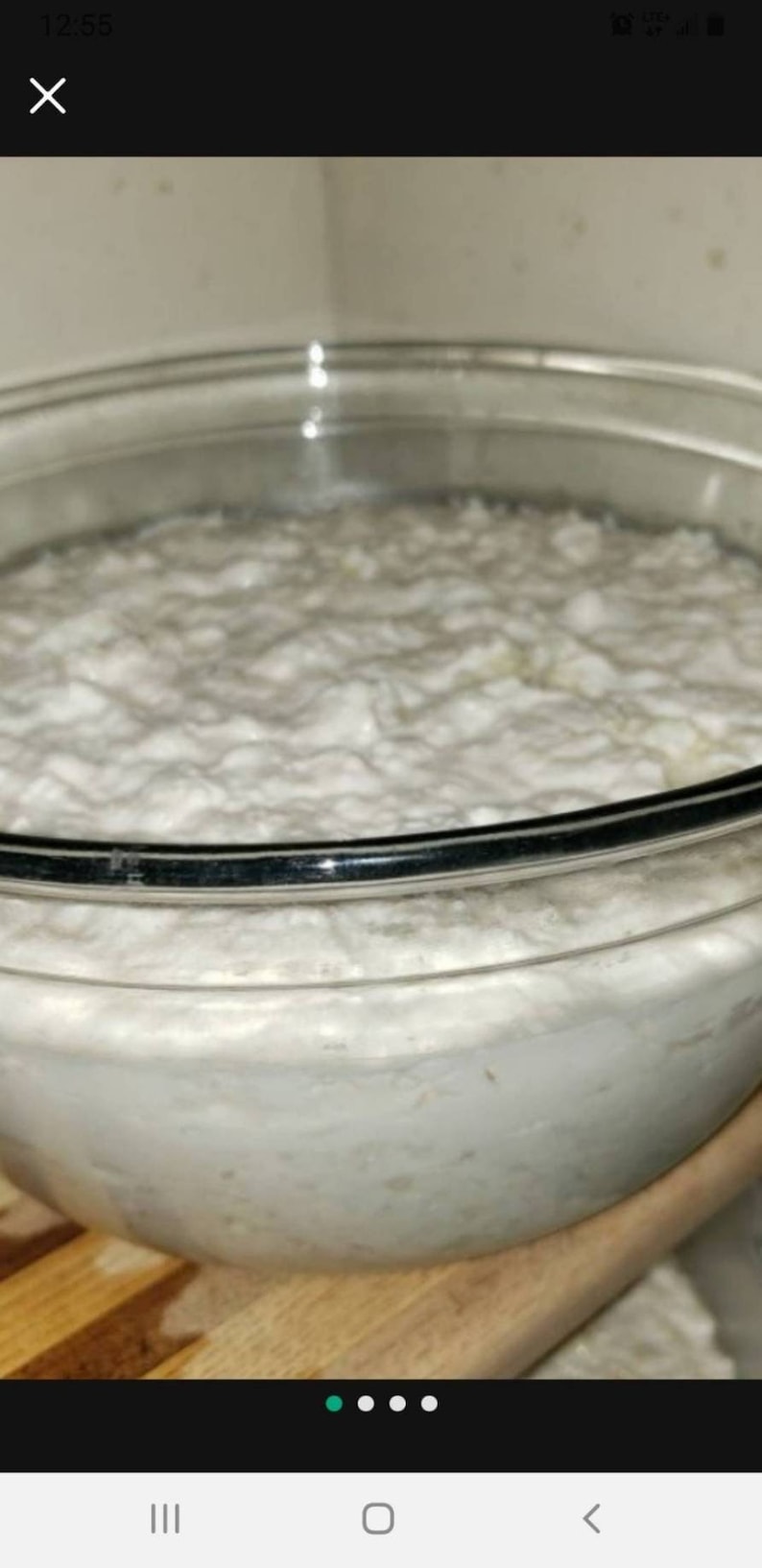 May include: A glass bowl filled with a white, foamy substance. The substance appears to be a sourdough starter.