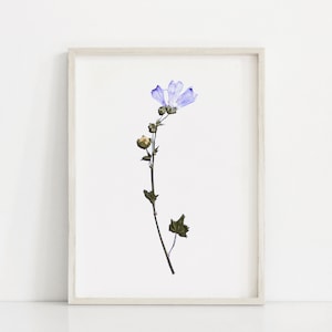 Violet printable art, herbarium art, floral art print, botanical art print, flower wall art, botanical poster, dried flower printable art