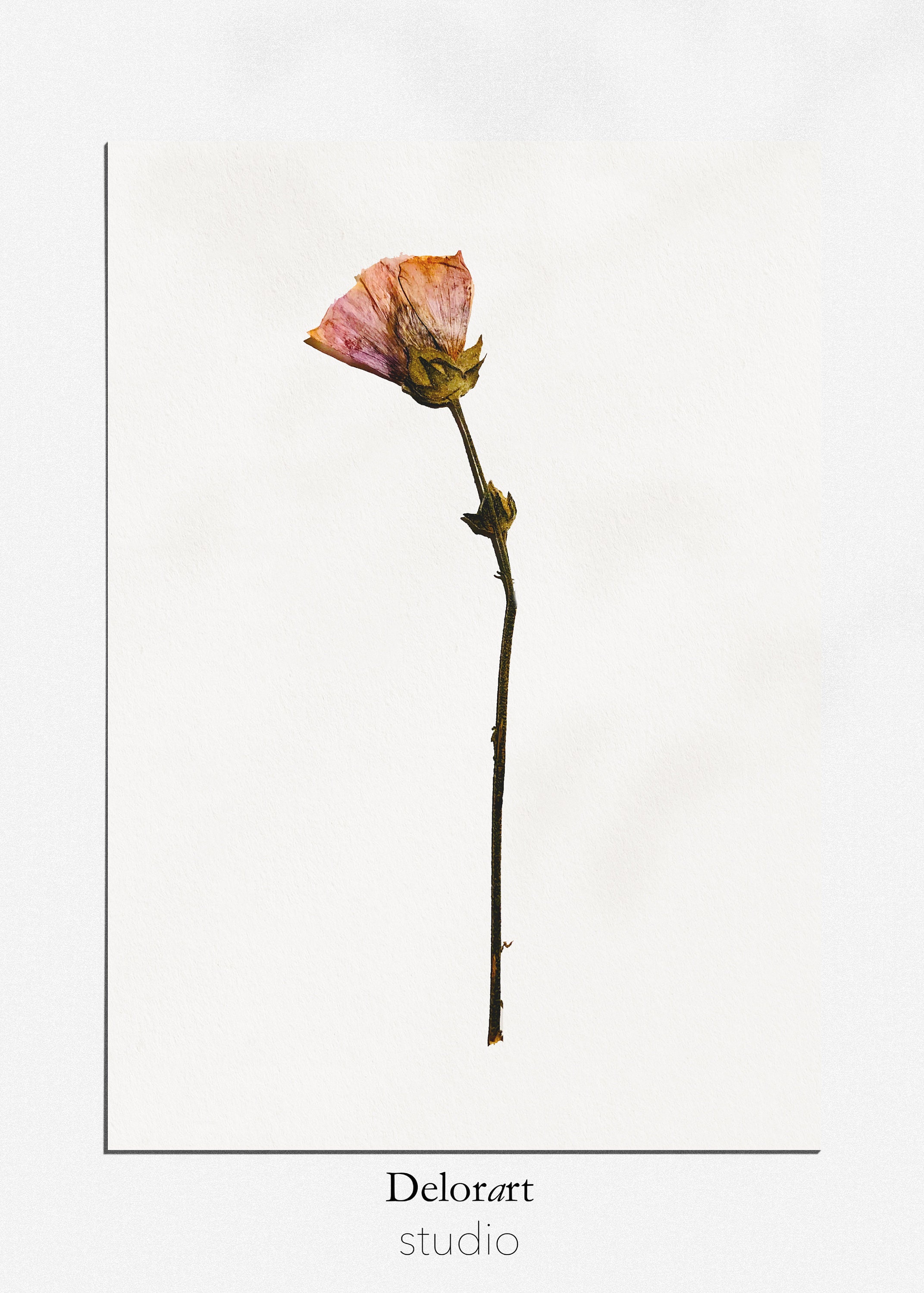 Flower Printable Art, Downloadable Art Flower, Flower Art, Botanical ...