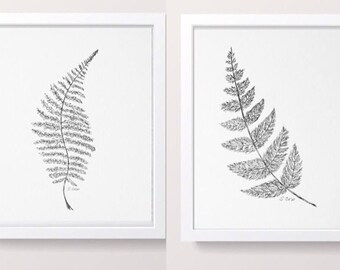 Fern Drawing Etsy