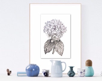 Noir Et Blanc Dessin Floral Fleurs Dencre Boho Bouquet Etsy