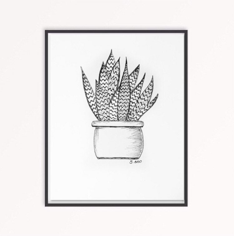 Featured image of post View 25 Minimalist Black And White Succulent Drawing