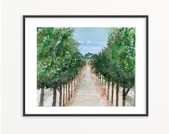 Original Watercolor Vineyard Painting: Sonoma Wine Country Art (8x10)