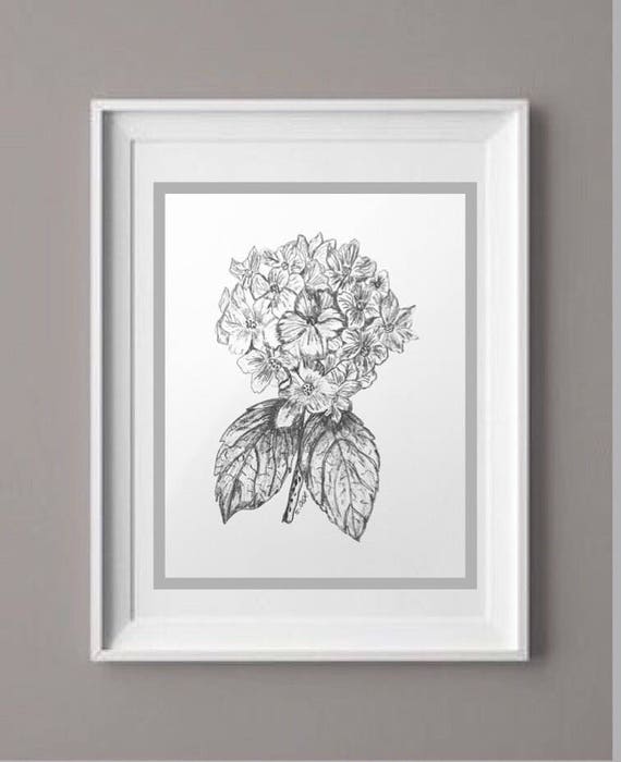 Botanique Croquis Dessin De Fleurs Croquis Au Crayon Impression Noir Et Blanc Tulipe Dessin Croquis De Graphite Fleur Botanique Cadeau Jardin