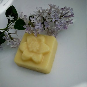 Lotion Bar, Cocoa Butter-Lavender