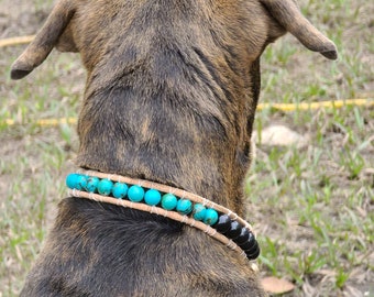 Chauncey's Collars