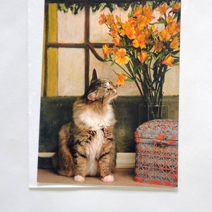 May include: A tabby cat with white fur on its chest and paws sits on a brown surface and looks up at a bouquet of yellow flowers in a clear glass vase. A wooden box with a woven pattern sits on the surface next to the cat.