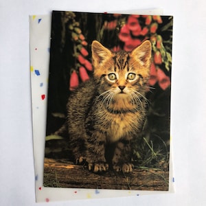 Cat Blank Greeting Cards | Dog Blank Greeting Card | Golden Retriever Dog Print | Cut Animal Prints | Cat Dog Blank Cards | Vintage Cards