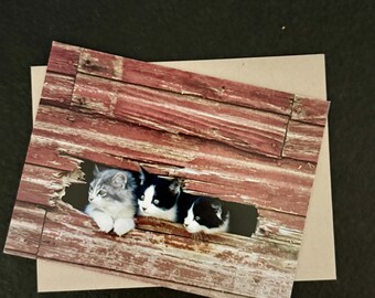 Vintage Cat Greeting Cards – Curated Blank Stationery Collection