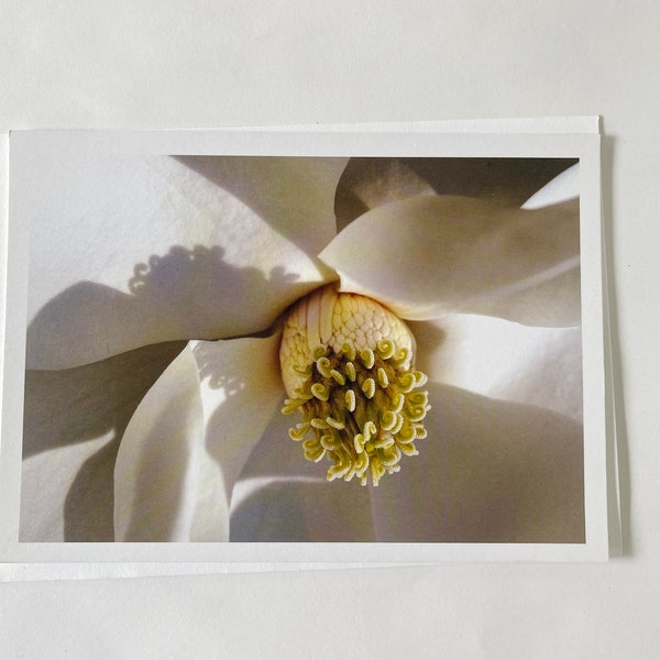 Magnolia Tree Flower Art | Flower Greeting Cards | Butterfly Blank Cards | Hawaii White Plumerias Flowers | Blank Greeting Cards