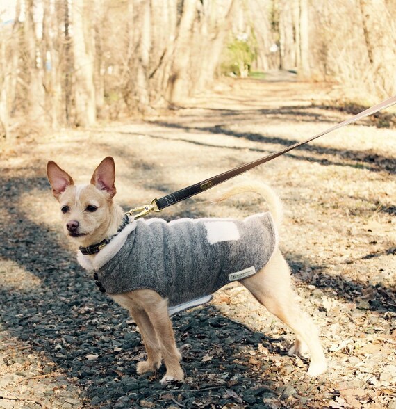 dog fleece jacket