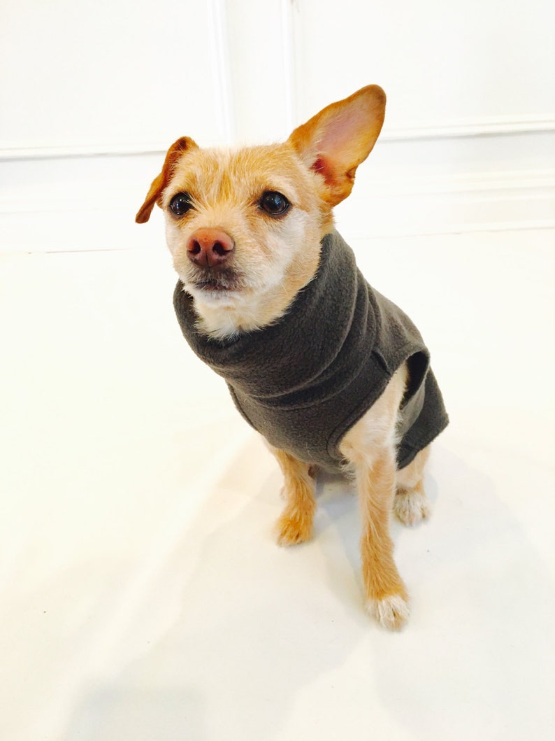 Dog HoodieScarf-Dog Clothes Custom Dog Hoodie with Leather Trim-Dog Fleece Sweater