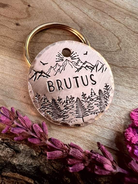 Mountain 2025 dog tag