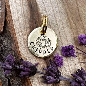 Mini Microchipped Tag: Custom Alert ID for Cats, Microchip, Pet Collar Charm, Floral Paw