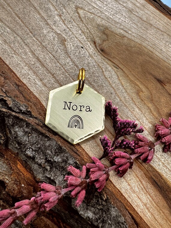 Medagliette Identificative Per Cani Color Arcobaleno, Ossi In Acciaio - Foto 3