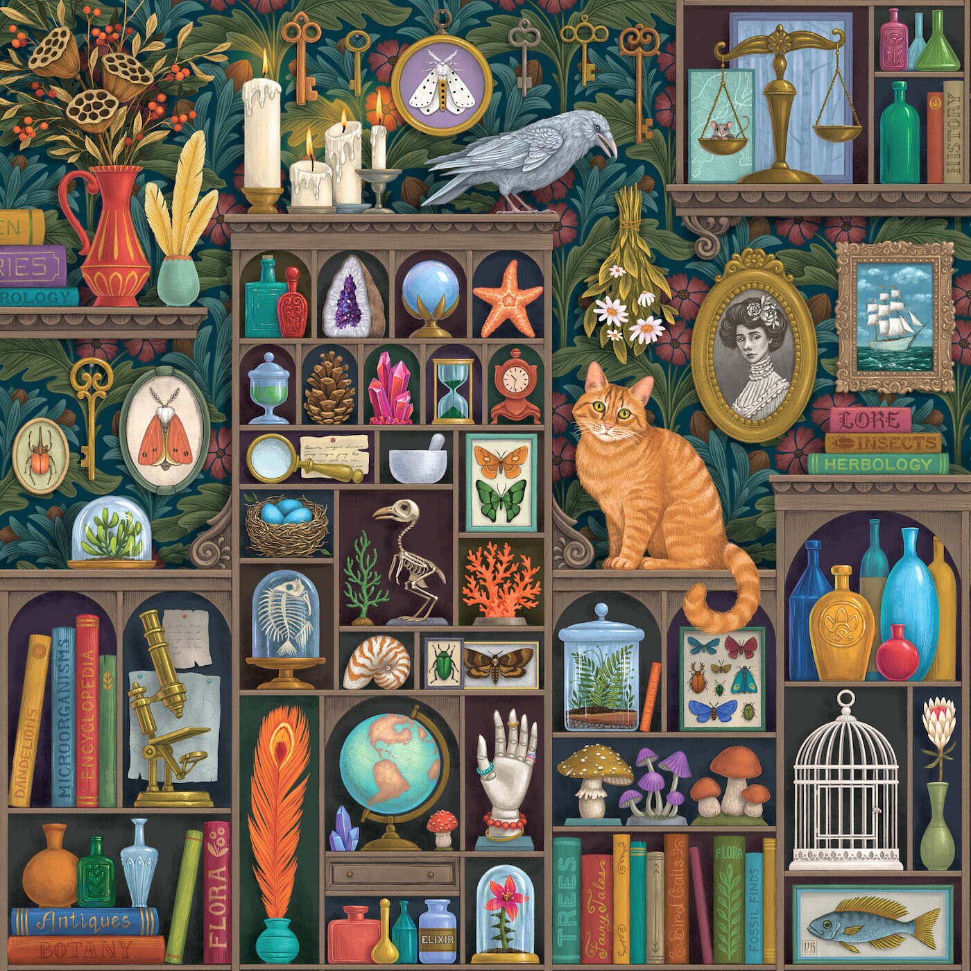 Alchemist Cabinet - Etsy Canada
