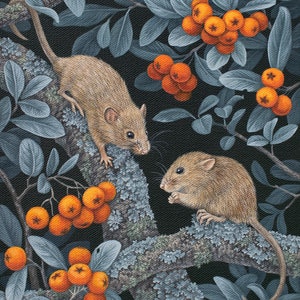 Harvest Mice Print