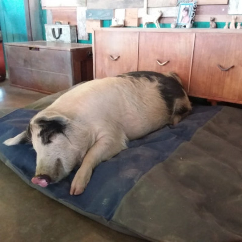 Dog Bed Canvas Kevlar Super Tough Design Etsy Australia