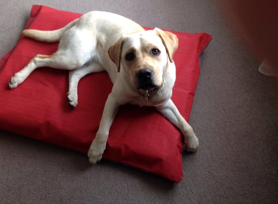 super durable dog bed