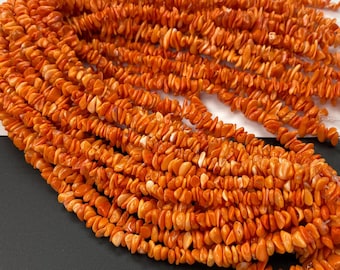 Orange Spiny Oyster Beads Round 10mm 12 Orange Spiny Oyster Beads Round 10mm 12